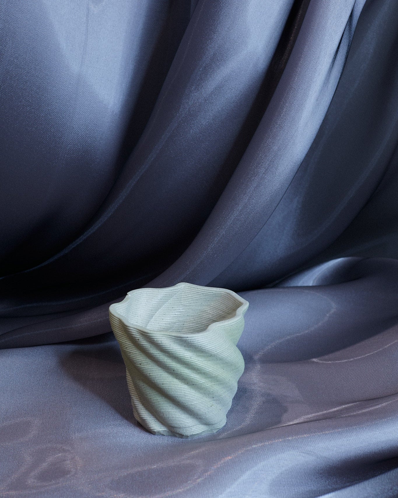 Natural Shell Cup
