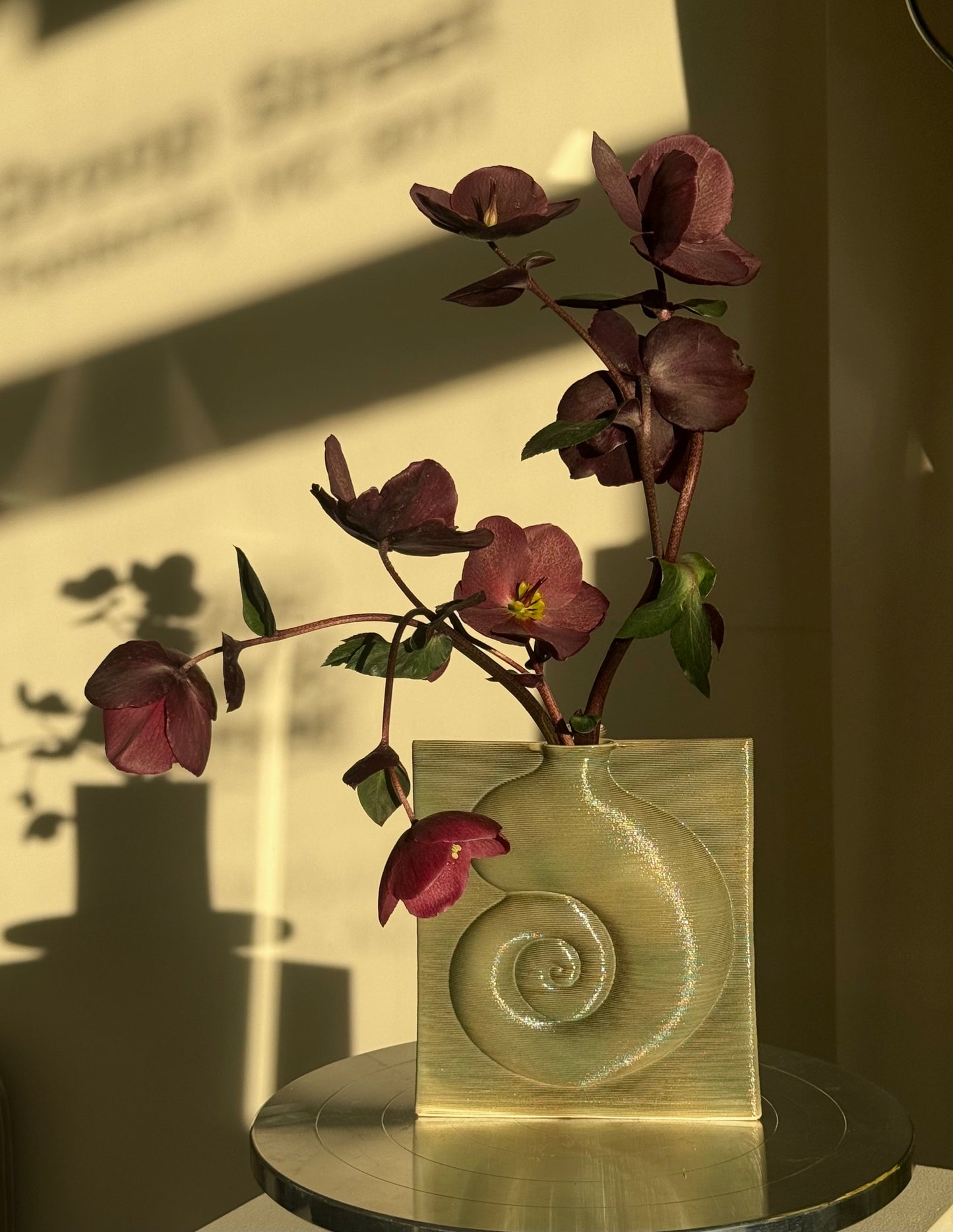 Nautilus Unvase in Pistachio